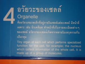 img_0010.jpg.jpg