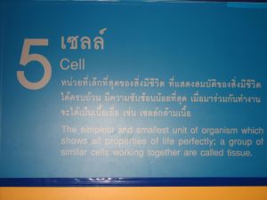 img_0011.jpg.jpg
