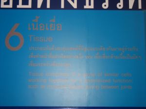 img_0012.jpg.jpg