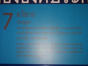 img_0013.jpg.jpg