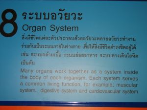 img_0014.jpg.jpg