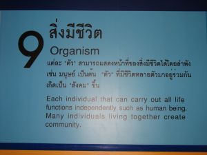 img_0015.jpg.jpg