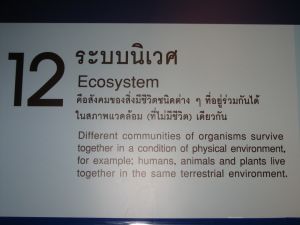 img_0018.jpg.jpg