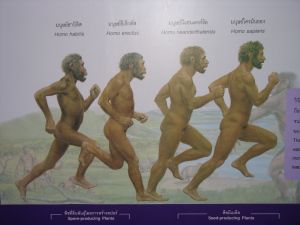 img_0020.jpg.jpg
