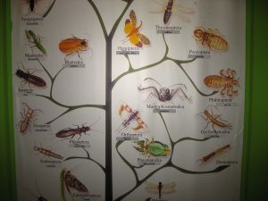 img_0023.jpg.jpg