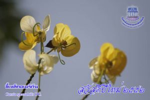 104_7.jpg
