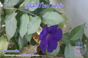 58_10.jpg