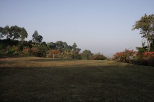 _mg_4325.jpg