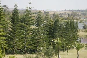 _mg_4527.jpg