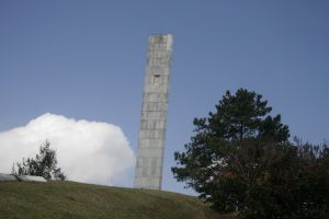 _mg_4563.jpg
