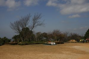 _mg_7599.jpg.jpg