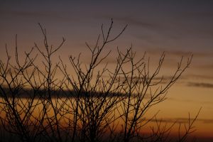 _mg_7359.jpg.jpg