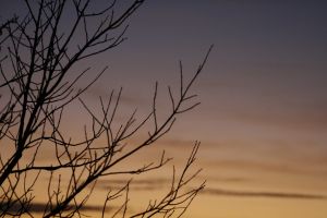_mg_7360.jpg.jpg