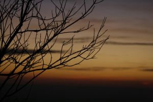 _mg_7361.jpg.jpg