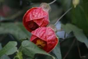 _mg_7392.jpg.jpg