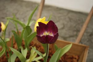 _mg_7751.jpg.jpg