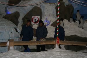 img_7704.jpg.jpg