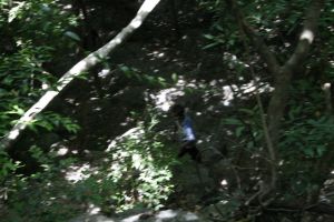 _mg_1933.jpg
