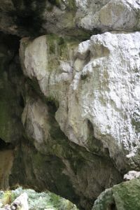 _mg_1950.jpg