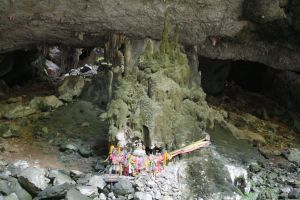 _mg_2010.jpg