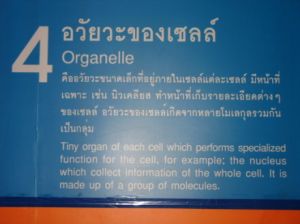 IMG_0010.JPG