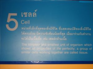 IMG_0011.JPG