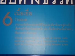 IMG_0012.JPG
