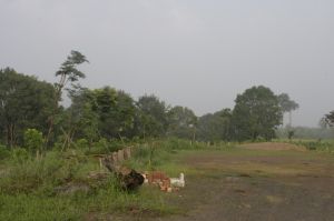 _MG_3208.JPG