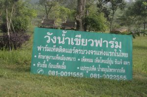 _MG_3278.JPG