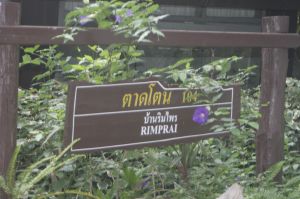 _MG_3293.JPG
