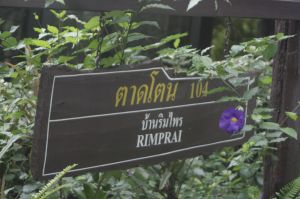 _MG_3295.JPG
