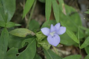 _MG_3304.JPG