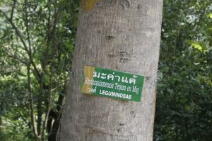 _MG_3360.JPG