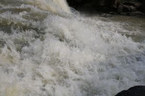 _MG_3383.JPG