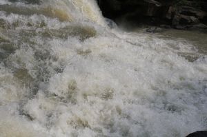 _MG_3384.JPG