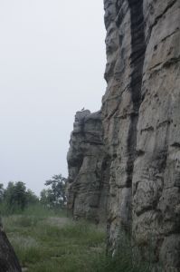 _MG_3506.JPG