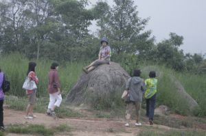 _MG_3516.JPG