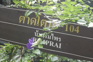 _MG_3596.JPG