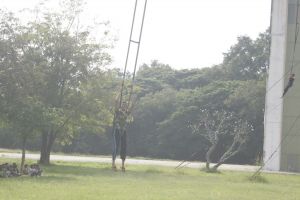 _MG_4020.JPG