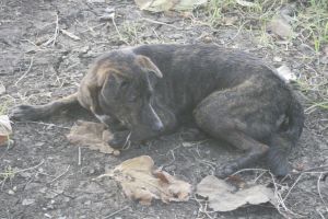 _MG_4306.JPG