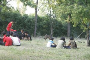 _MG_5123.JPG