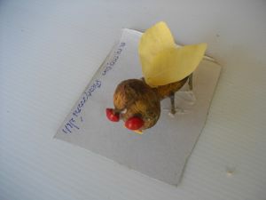 IMGP2685.JPG