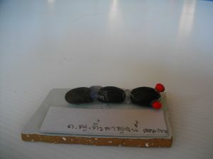 IMGP2692.JPG