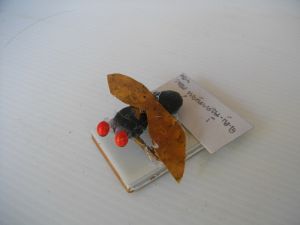 IMGP2693.JPG