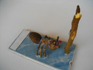 IMGP2703.JPG