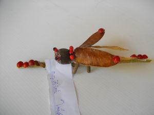 IMGP2708.JPG