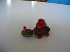 IMGP2716.JPG