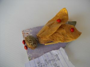IMGP2741.JPG