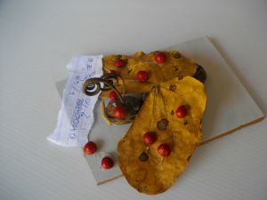 IMGP2745.JPG