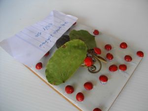 IMGP2748.JPG